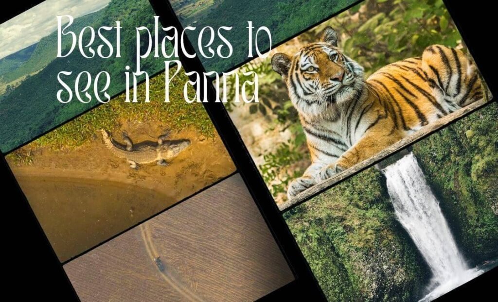 places to see in panna