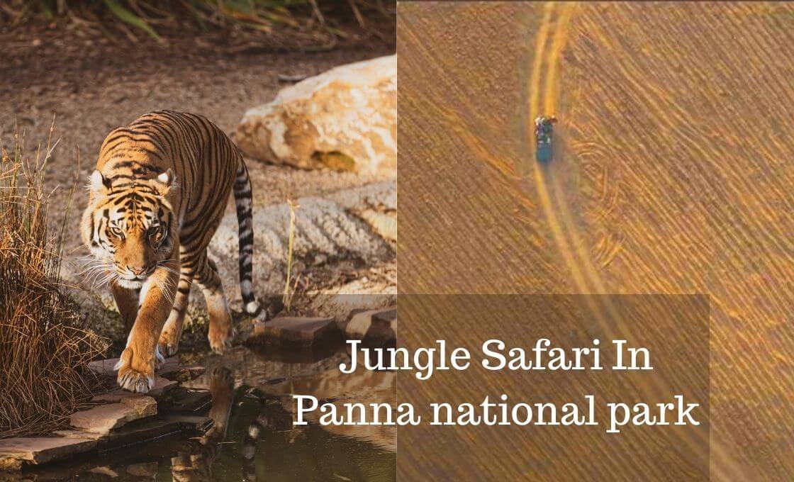 Panna national park Tiger reserve